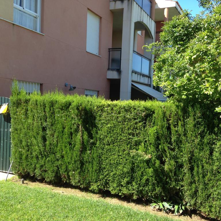 Divi Apartments Costa Ballena Eksteriør billede